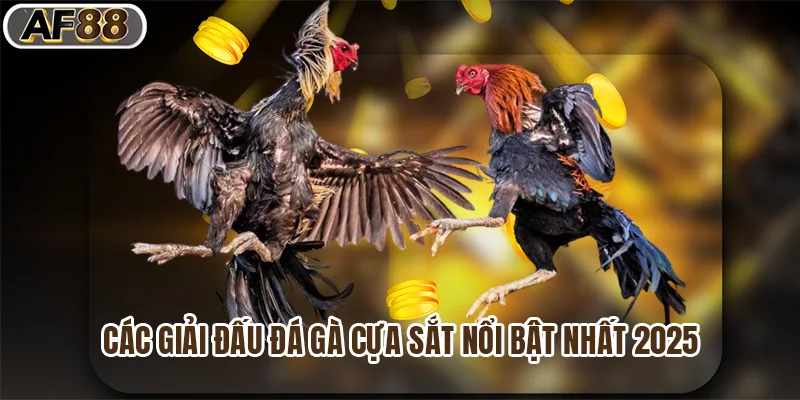 Các giải đấu đá gà cựa sắt nổi bật nhất 2025