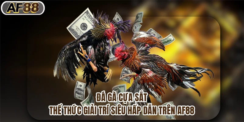 Đá Gà Cựa Sắt - Thể Thức Giải Trí Siêu Hấp Dẫn Trên Af88