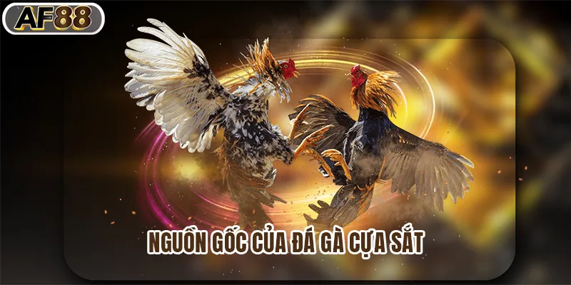 Nguồn gốc của đá gà cựa sắt