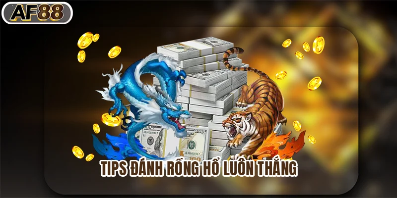 Tips đánh rồng hổ luôn thắng